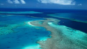 An aerial view of a coral reef with clear blue waters and a distant shoreline. - Cairns City Palms (Cairns North)