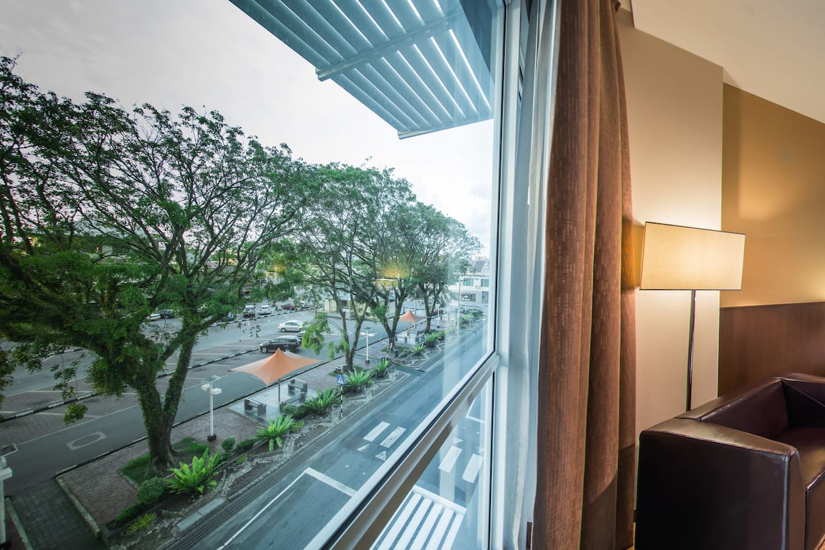 A hotel room with a large bed, a desk, a chair, a TV, and a window with a view of the street and trees.
