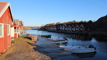 Laituri