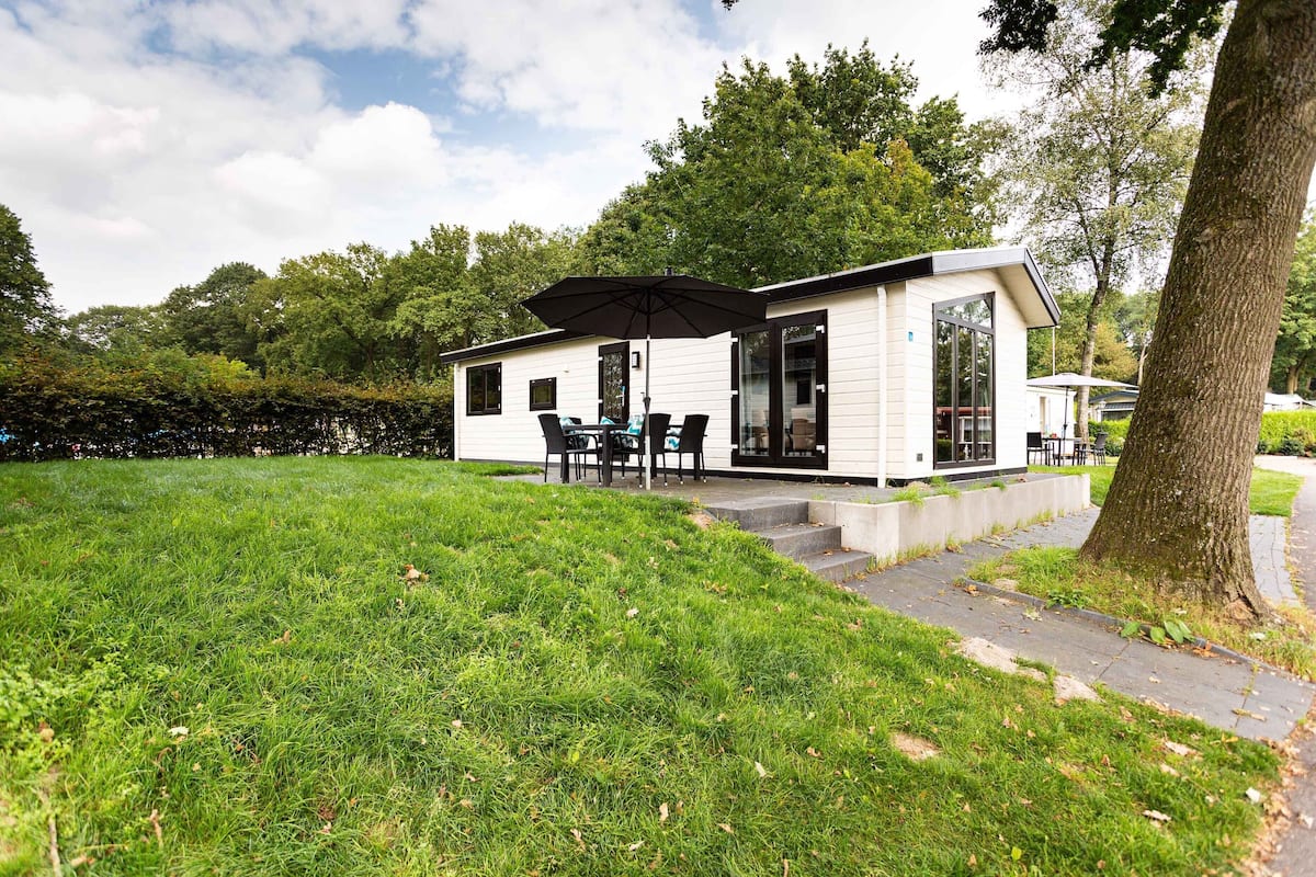 Una casa moderna con un patio, mobiliario exterior y un árbol grande.