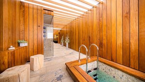 A spa area with wooden paneling, a stone bench, a small pool, and a glass door leading to a hallway.