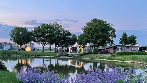 Un entorno tranquilo junto al lago con casas modernas, un estanque sereno y flores moradas en primer plano.