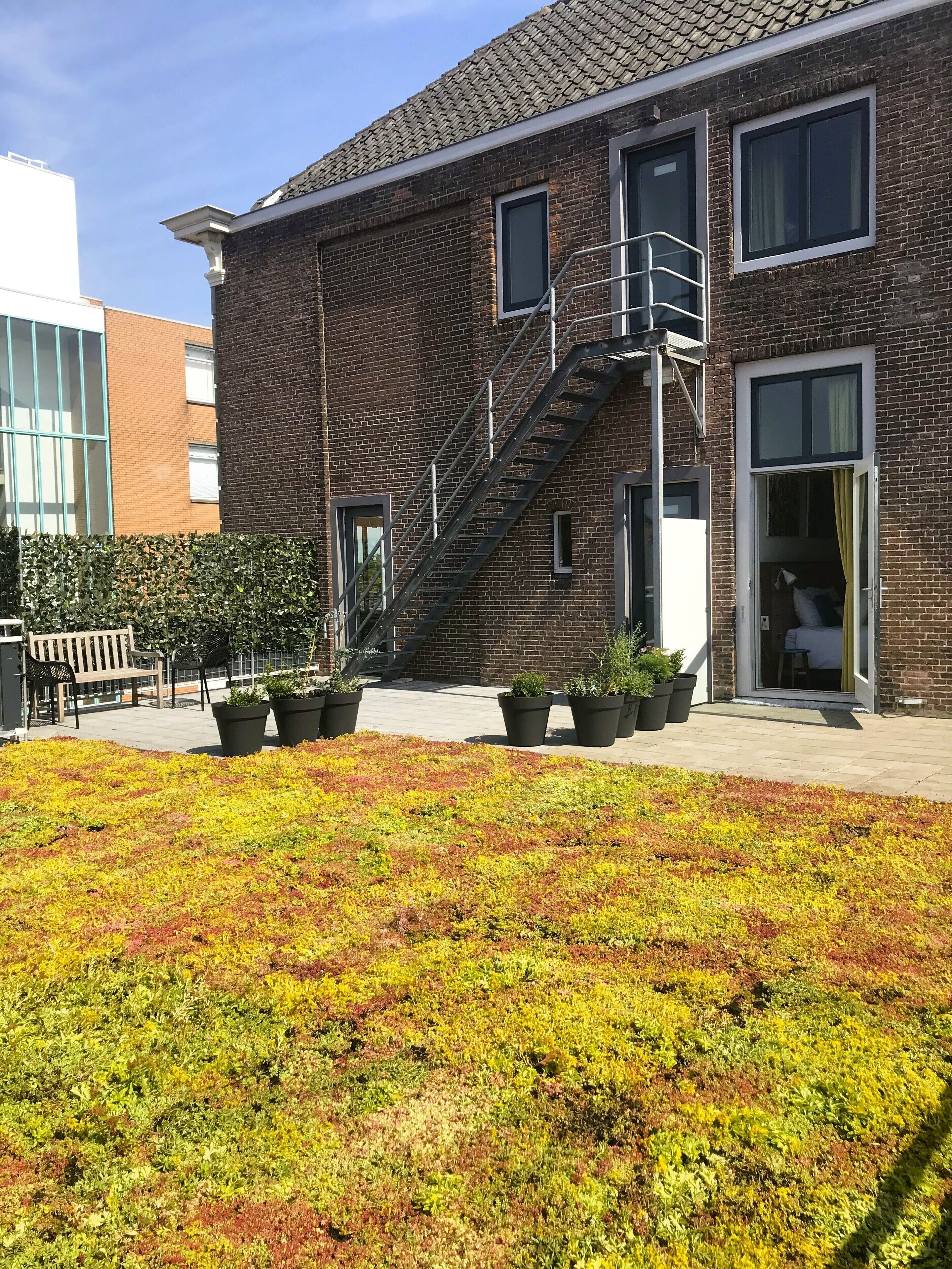 A brick building with a fire escape, potted plants, and a paved area with greenery.