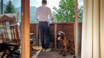 A man standing on a balcony overlooking a mountainous landscape, with a dog sitting beside him.