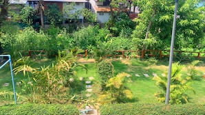 A lush garden with various plants and trees, a pathway, and a blue fence.