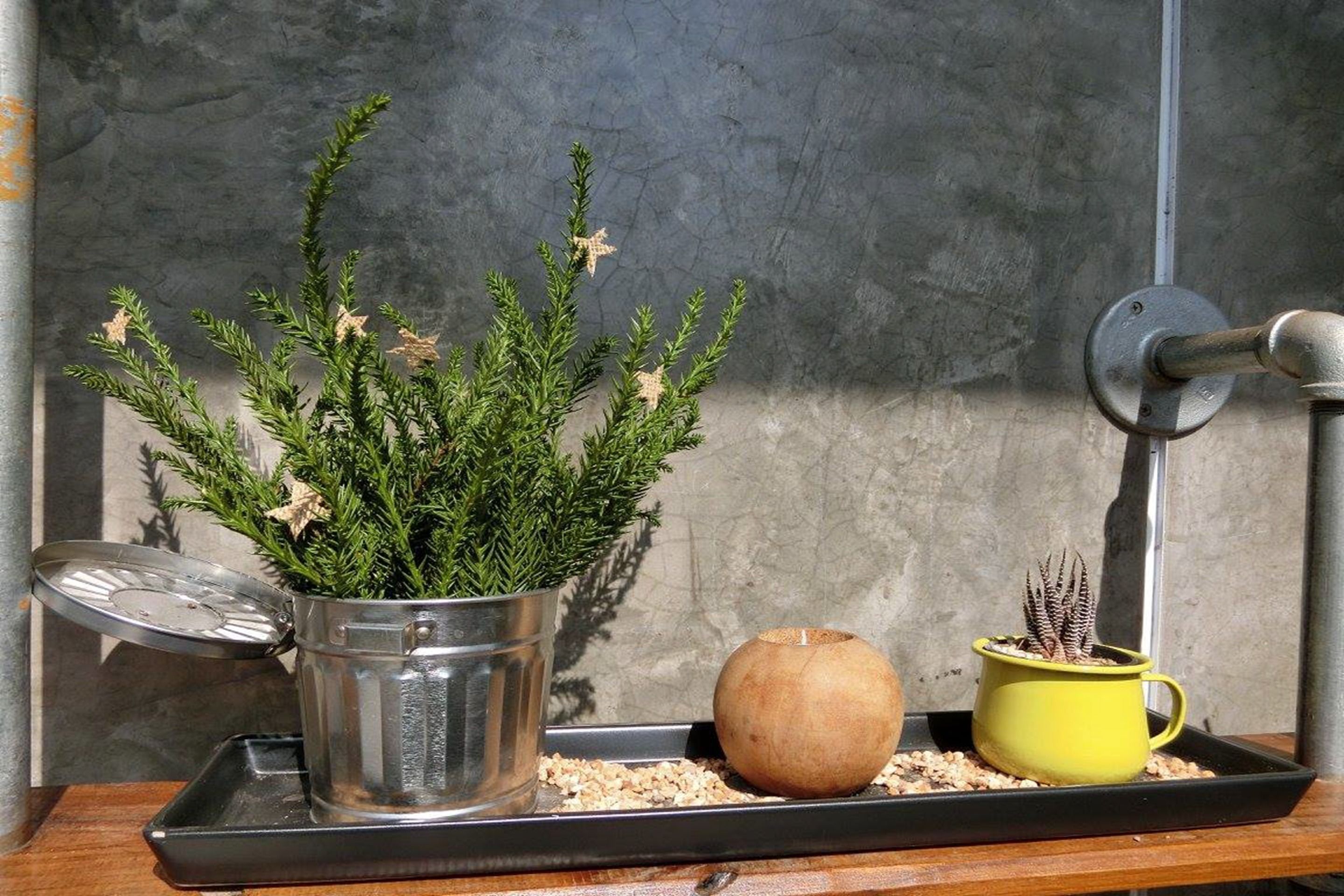 Photo - The Wishes Hotel at Chiangmai