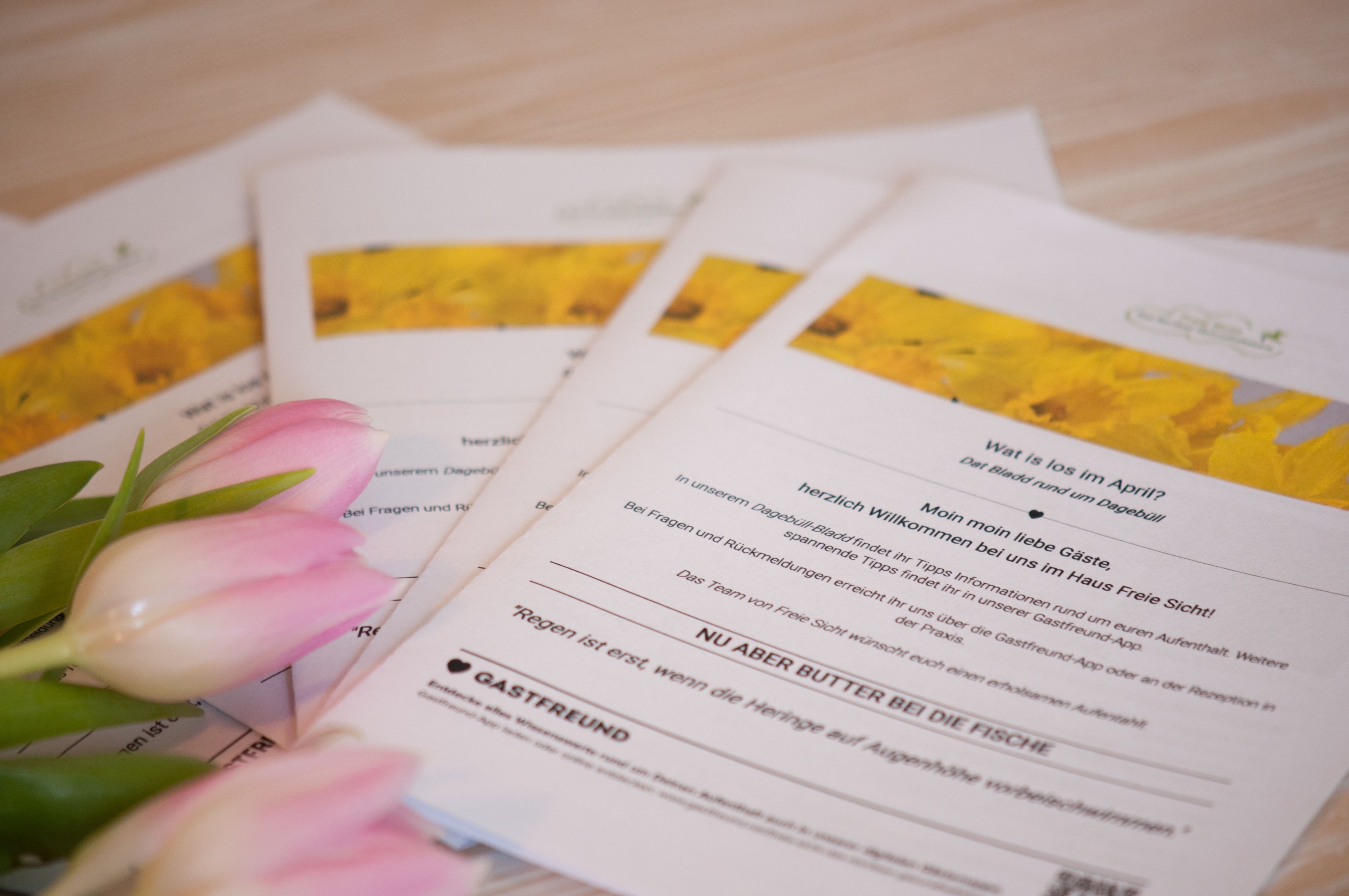 Eine Broschüre mit Text und einer rosafarbenen Tulpe.