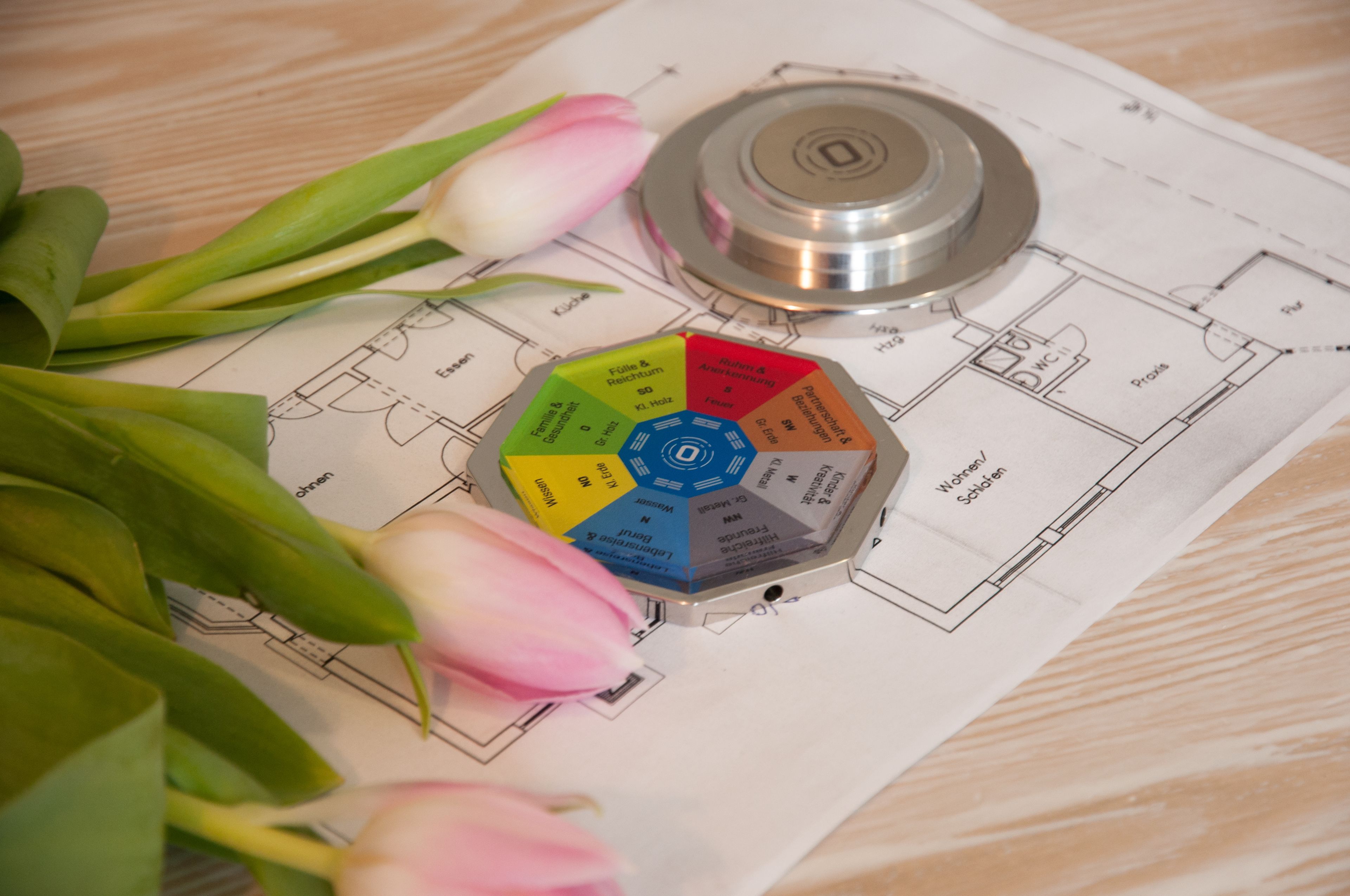 A floor plan with a central circular diagram, a mechanical device, and pink tulips.