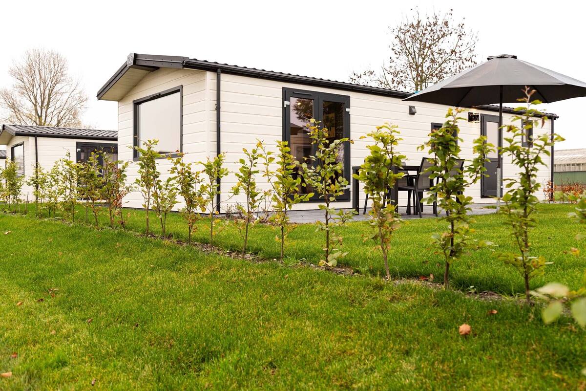 Una casa moderna con un patio cubierto, césped y árboles jóvenes.