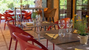 Un área de comedor al aire libre con mesas y sillas, plantas en macetas y una pared de piedra.