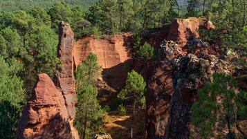 Un paisaje natural con destacadas formaciones rocosas rojas y densos pinos verdes.