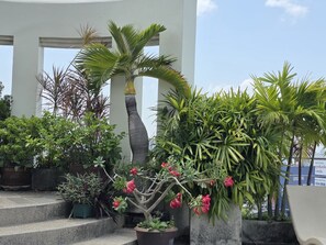 A potted plant arrangement on steps, a palm tree, and a building with columns. - Interchange Tower Serviced Apartment (Bangkok)