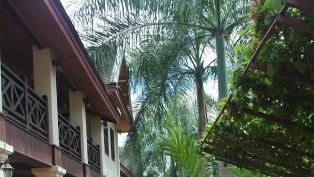 Un patio con piso de baldosas, mesas y sillas de madera, y abundante vegetación, entre ellas palmeras.