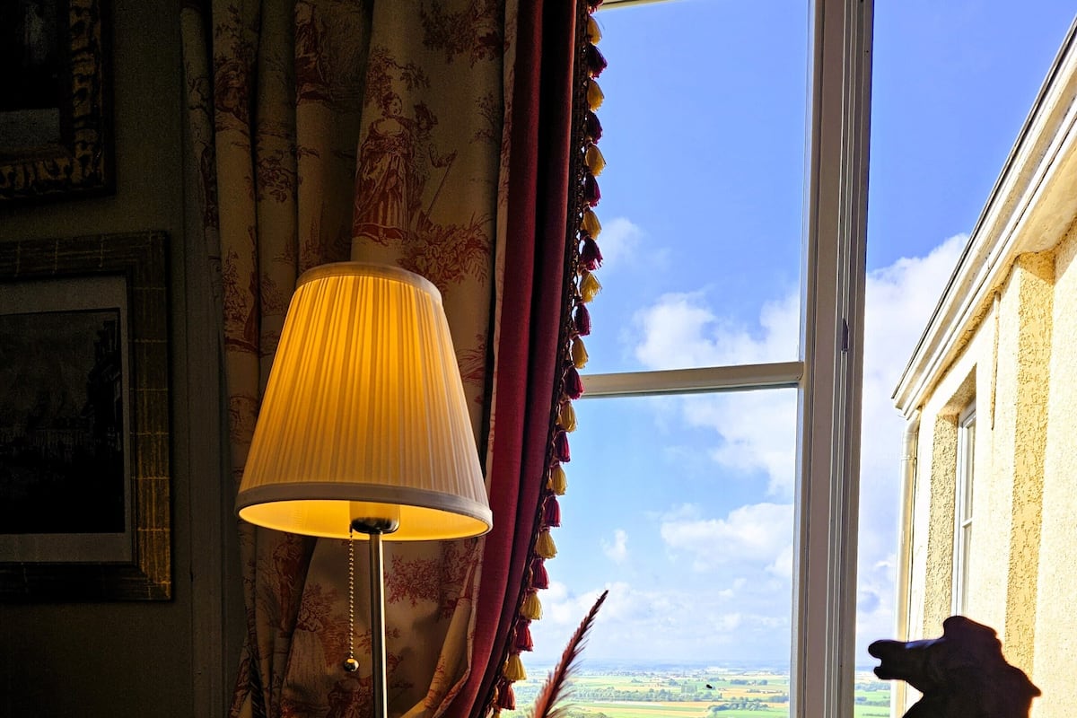 A room with a desk, a lamp, a decorative bird statue, a window with a view of the countryside, and a framed picture on the wall.