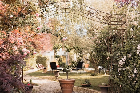 Terrace/patio. Hôtel Au Charme Rabelaisien