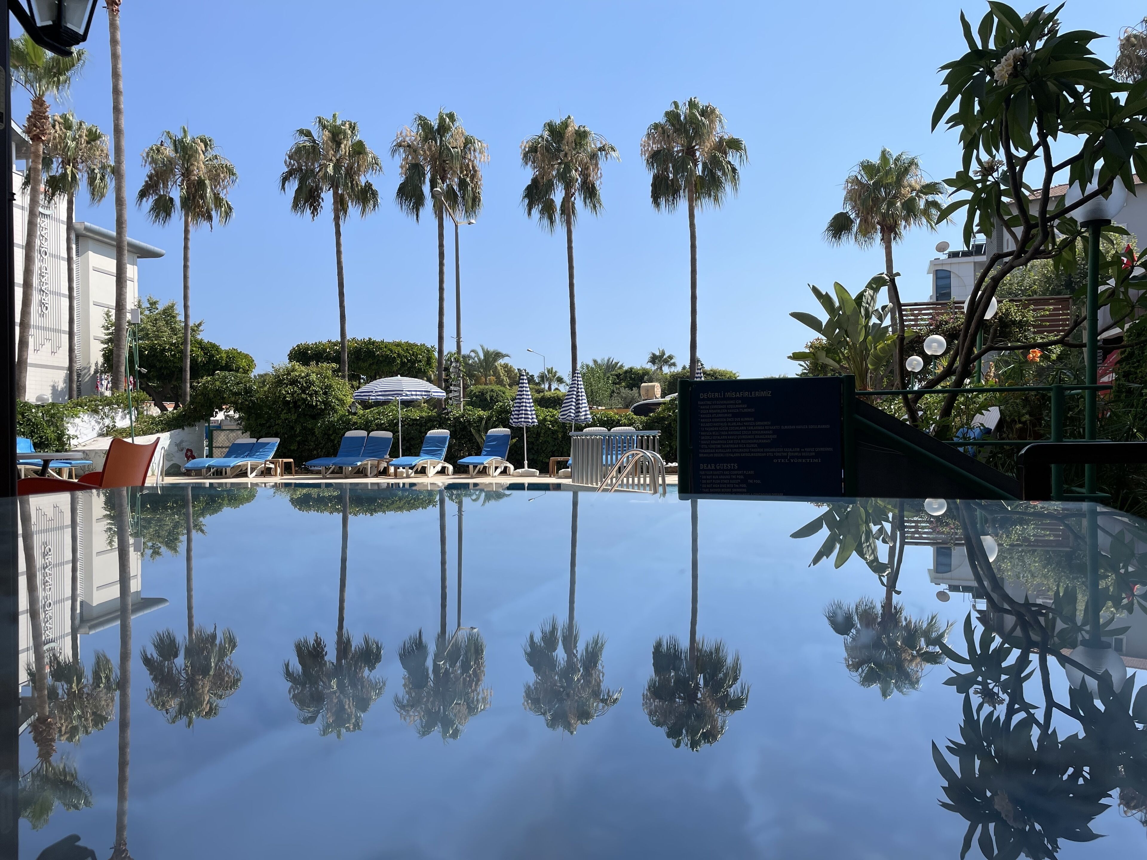 Outdoor pool, pool umbrellas, pool loungers