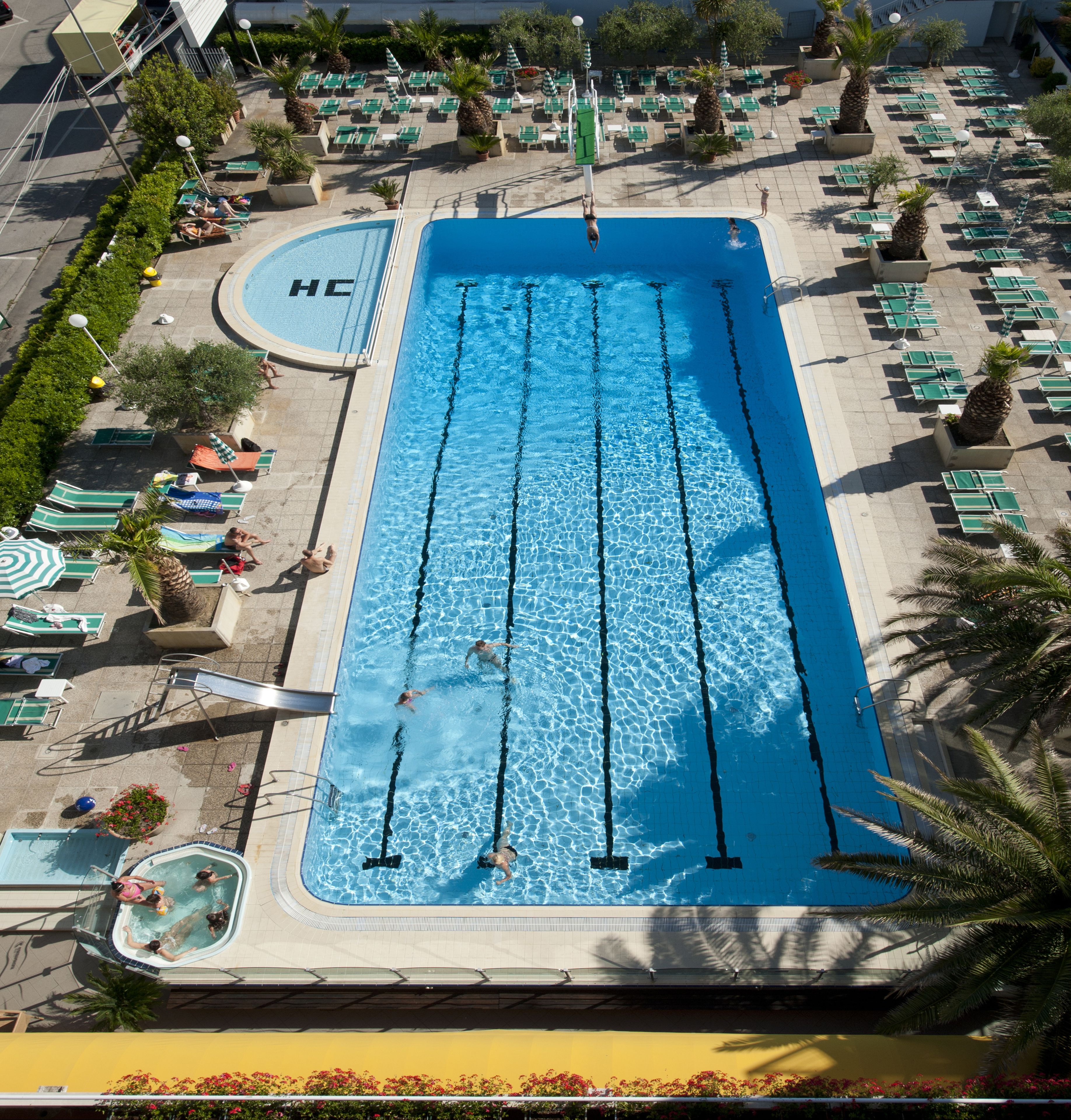 Une grande piscine rectangulaire avec plusieurs couloirs de nage, entourée de chaises longues et de palmiers.