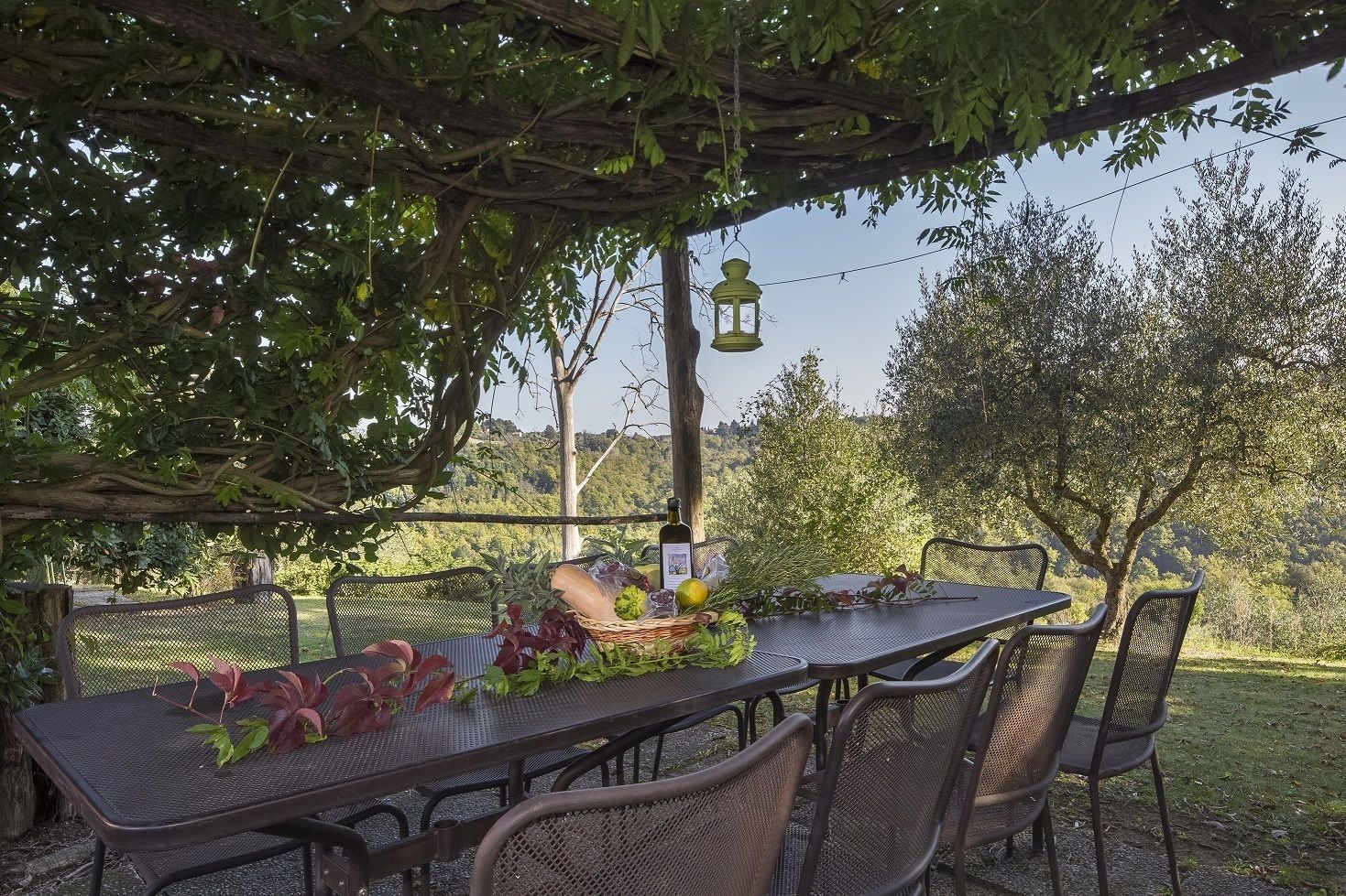 Apartment, 4 Schlafzimmer, Blick auf den Weinberg | Terrasse/Patio