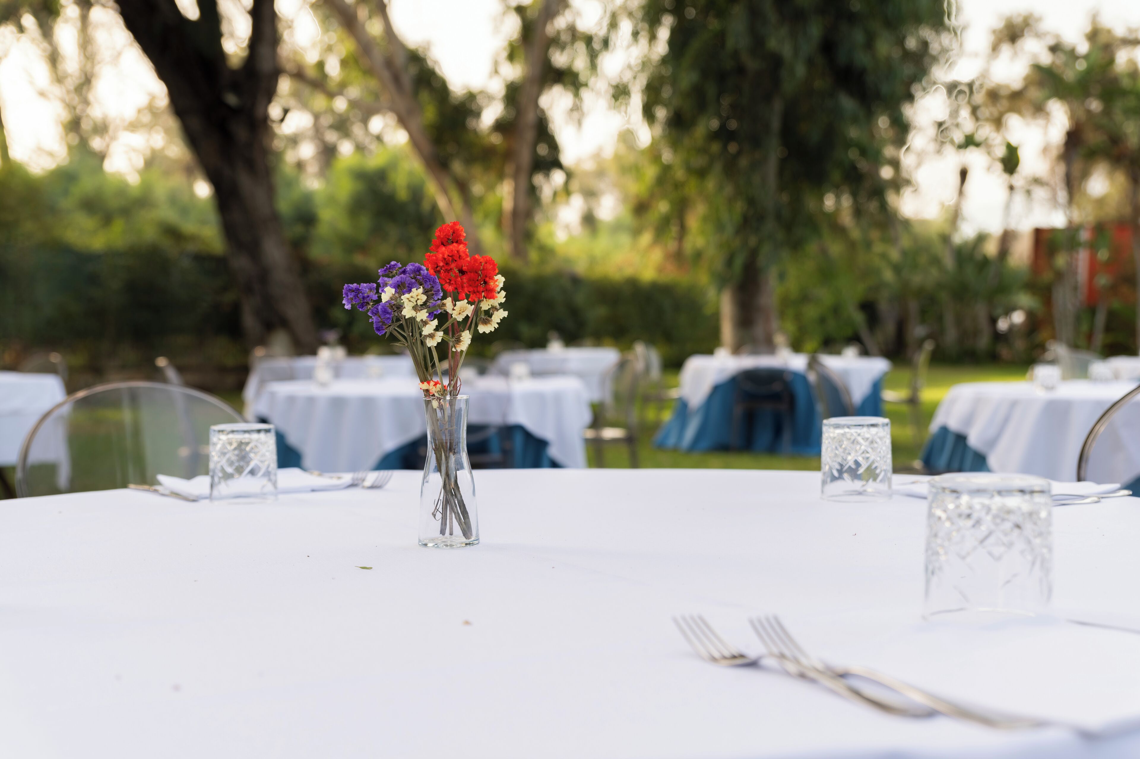 lunch and dinner served, local cuisine