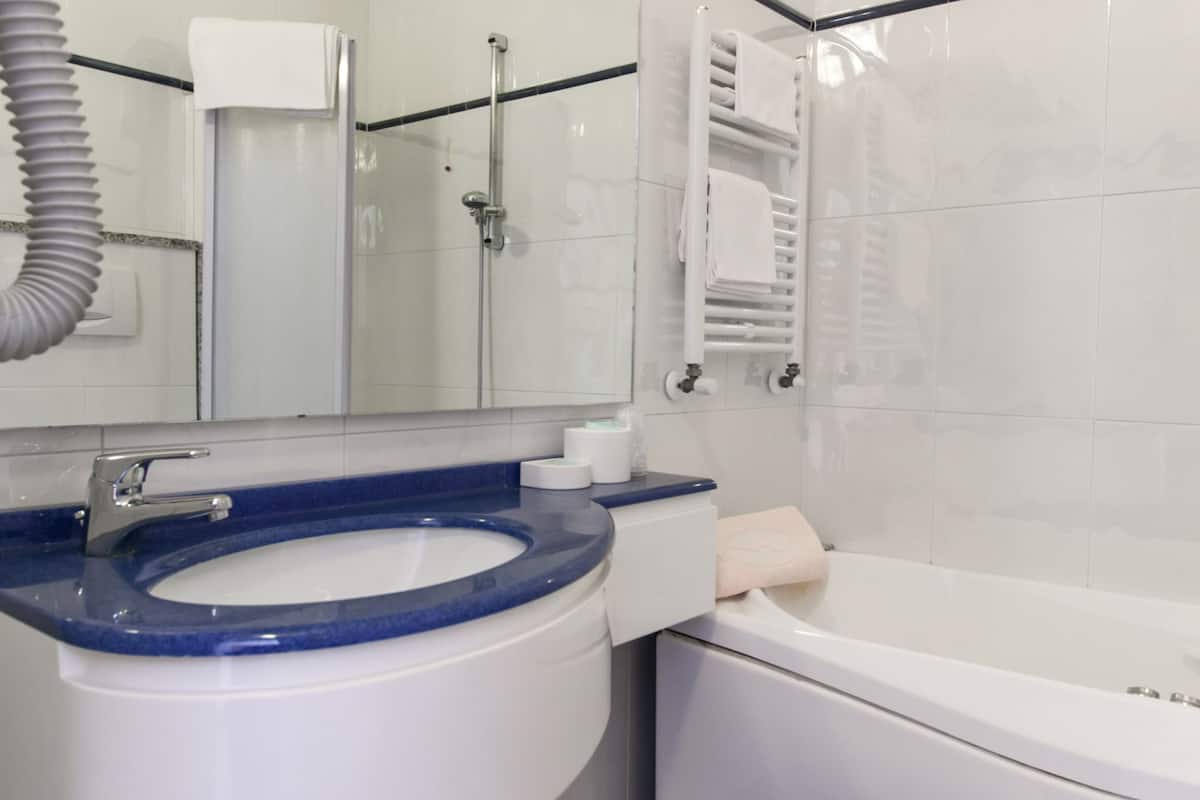 shower, free toiletries, hair dryer, bidet