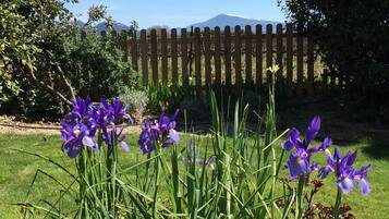 Uitzicht op de bergen