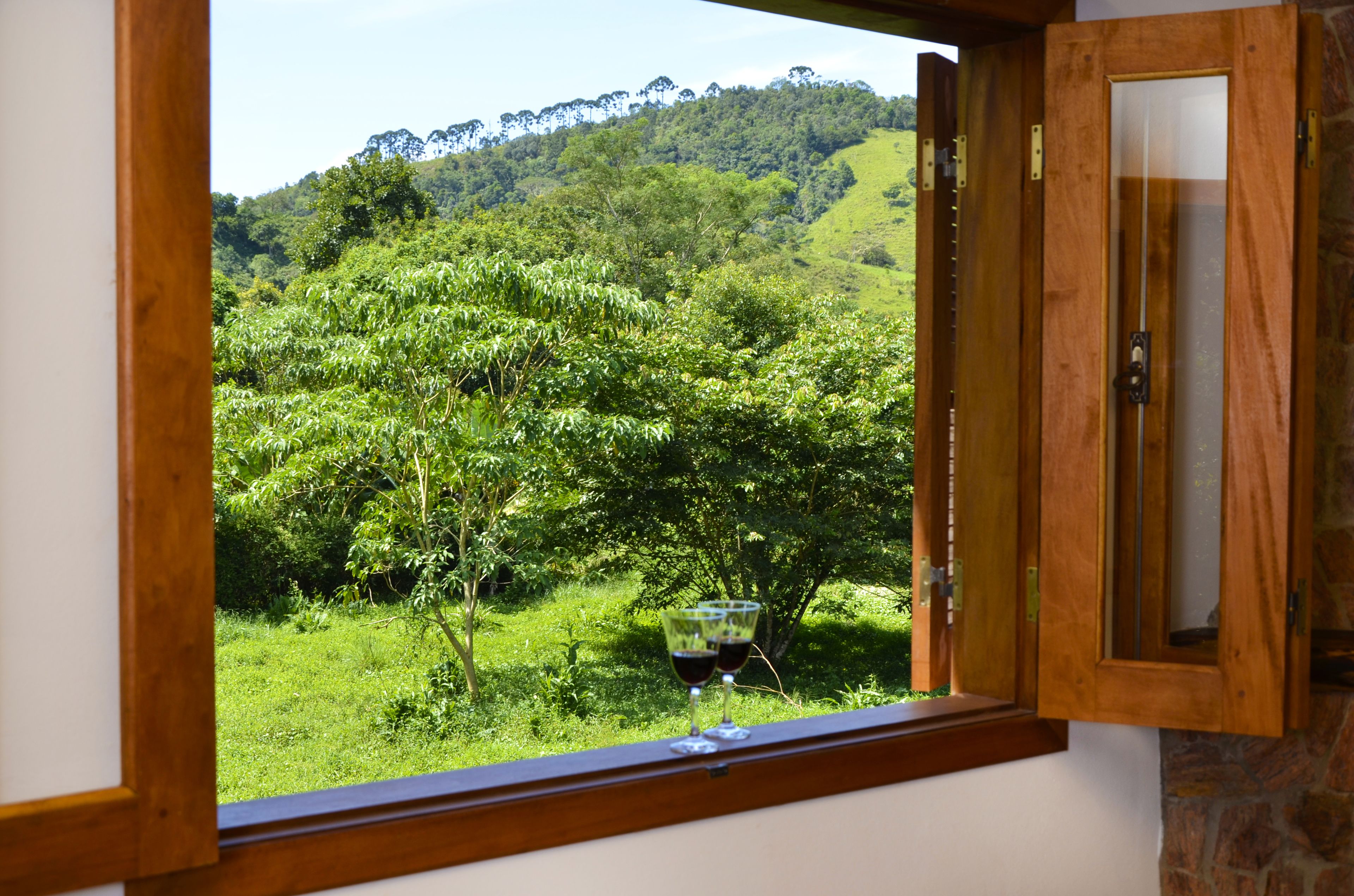 Suite Deluxe | Vistas desde la habitación