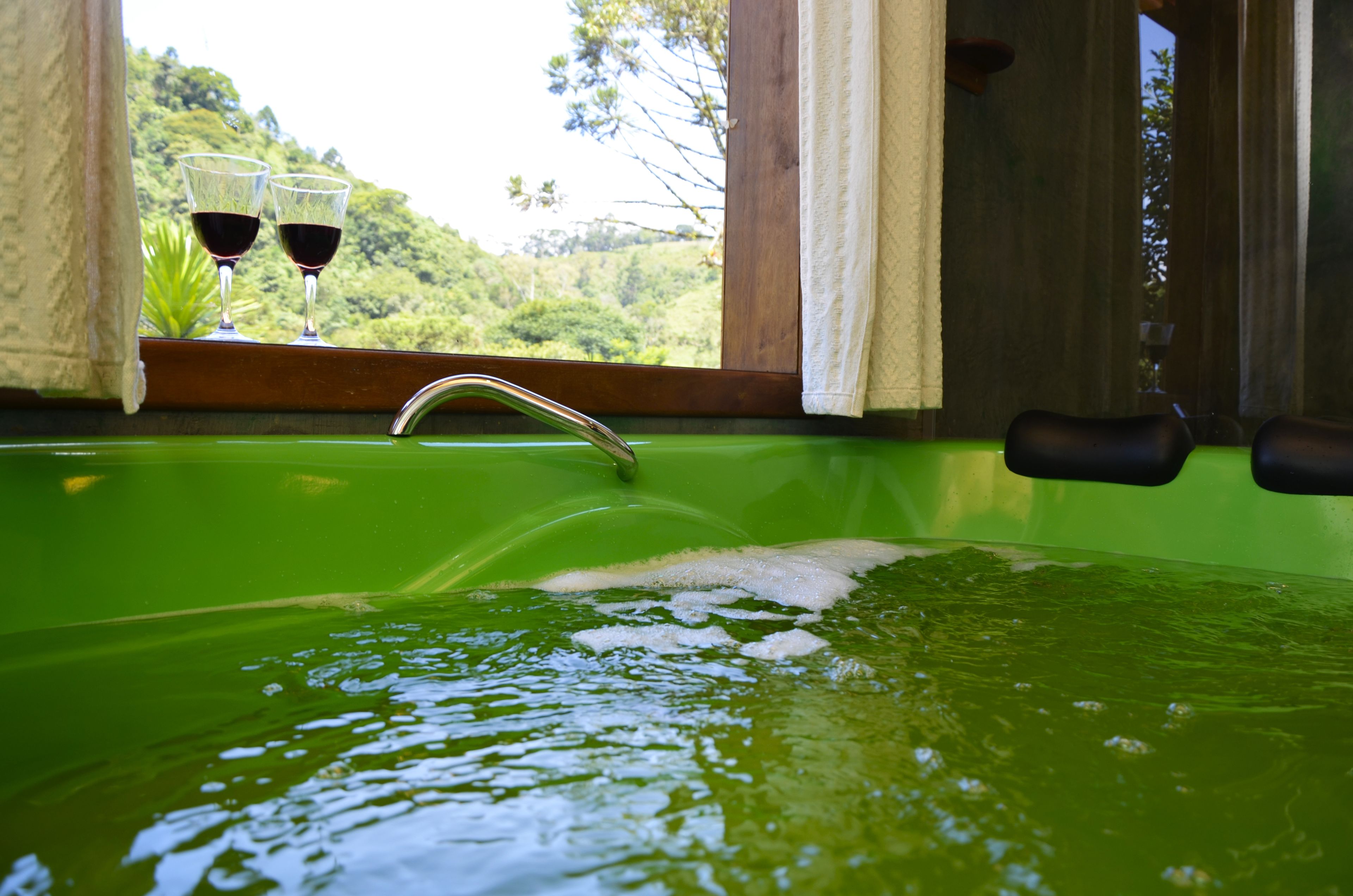 A green bathtub with a faucet, two glasses of red wine, and a view of lush greenery outside.