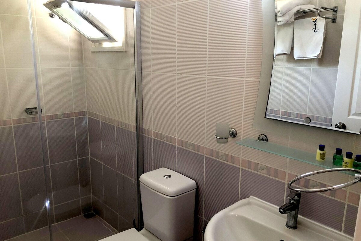 A bathroom with a glass shower enclosure, a toilet, a sink with a glass shelf, and a mirror.