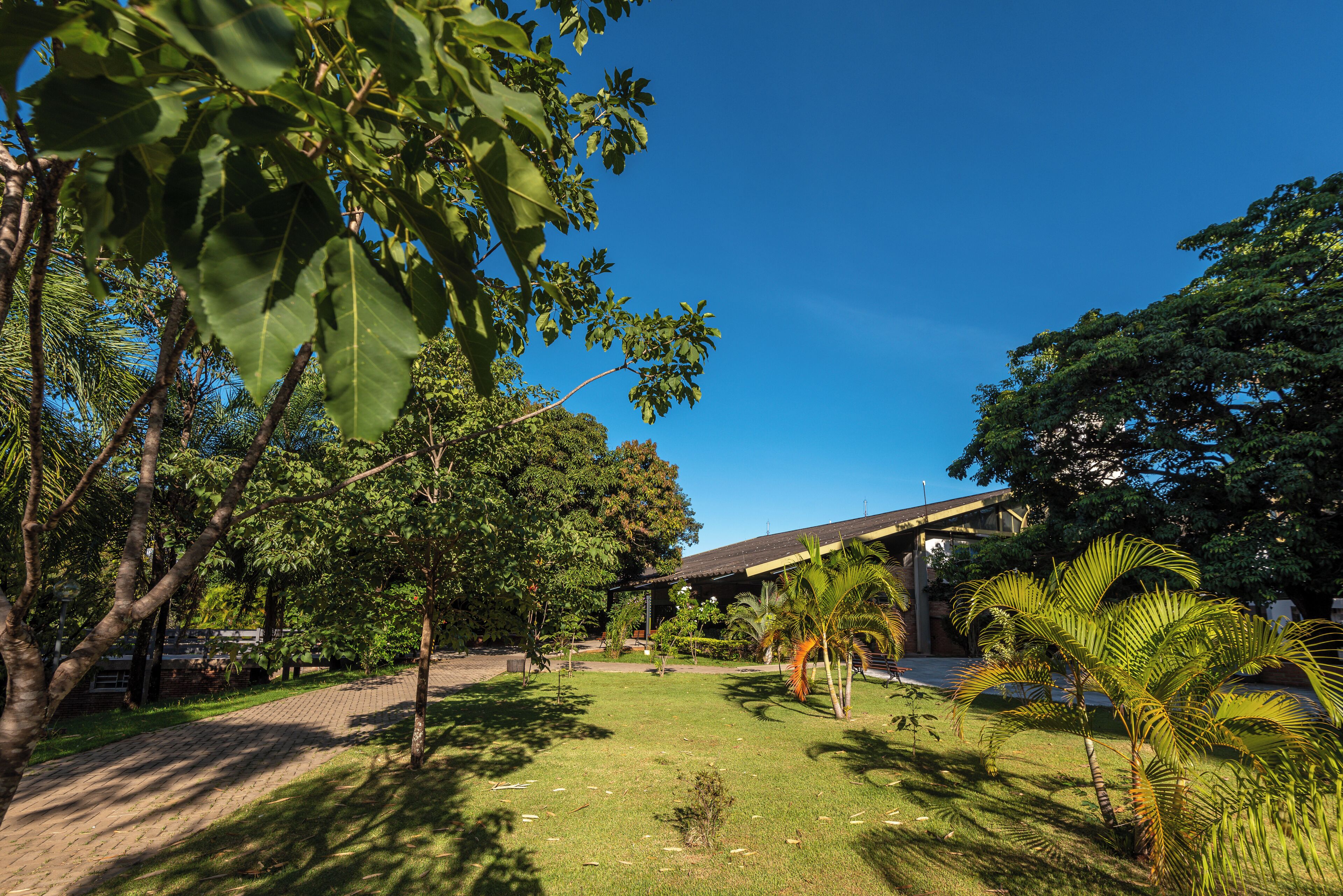 Jardín