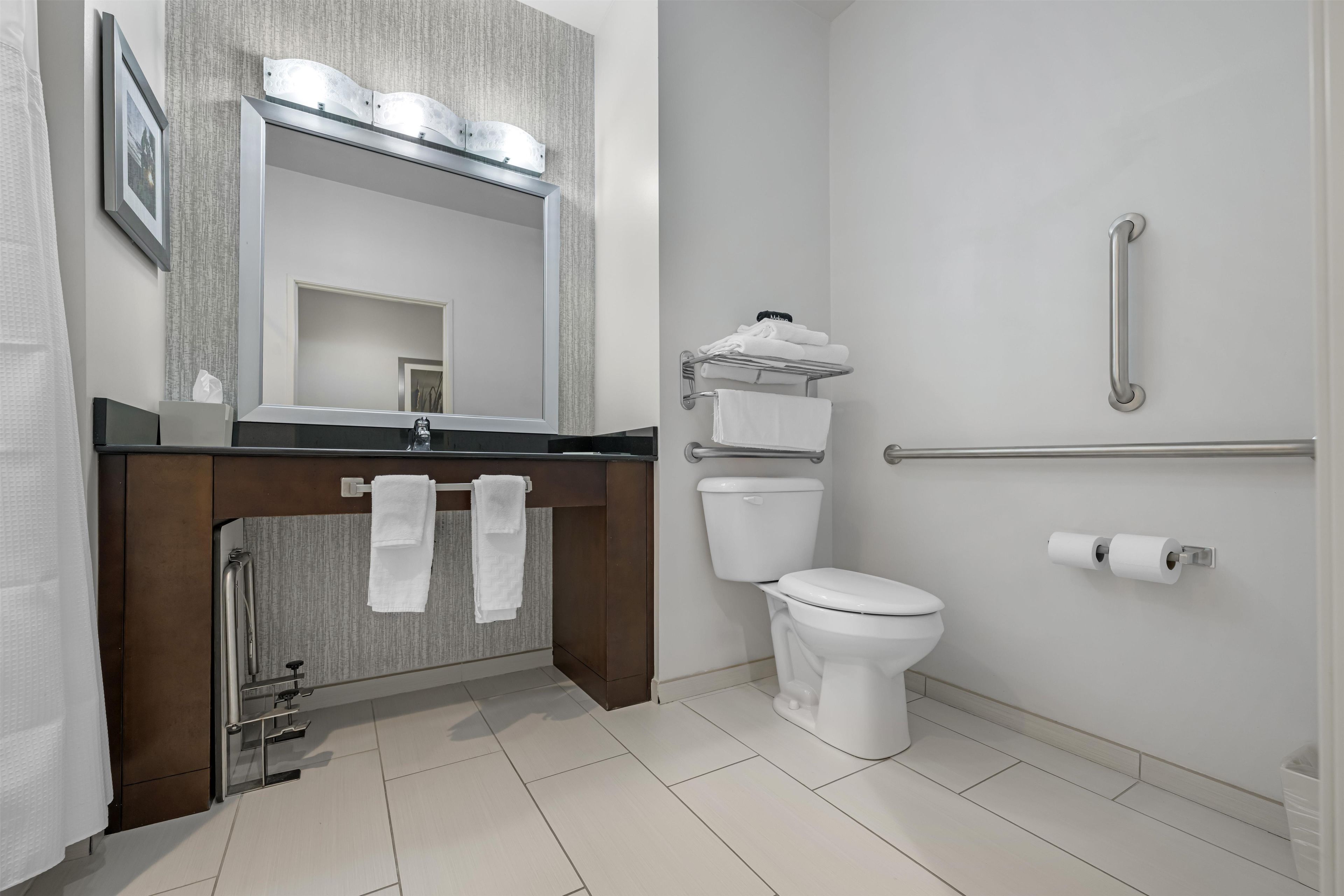 A modern bathroom with a vanity, toilet, and shower area.