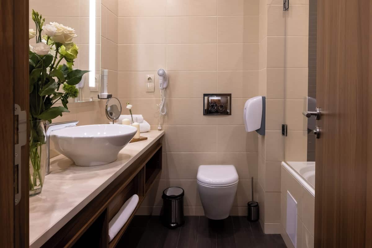 deluxe double room, 1 queen bed with sofa bed, non smoking | bathroom | free toiletries, hair dryer, towels, soap