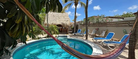 A swimming pool with a hammock, lounge chairs, palm trees, and a thatched-roof structure.