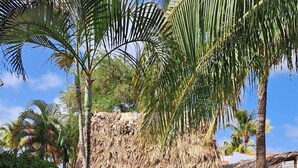 A pool area with a thatched-roof structure, surrounded by palm trees and a clear blue sky. - BnBBonaire (Kralendijk)