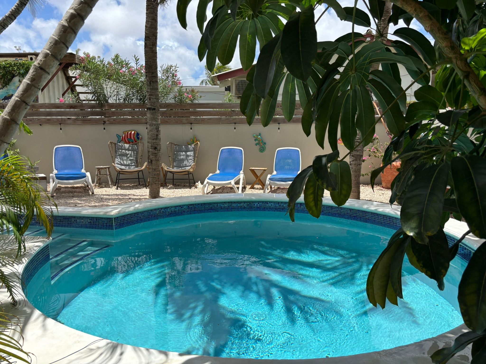 A swimming pool with blue tiles, surrounded by lounge chairs and tropical plants.