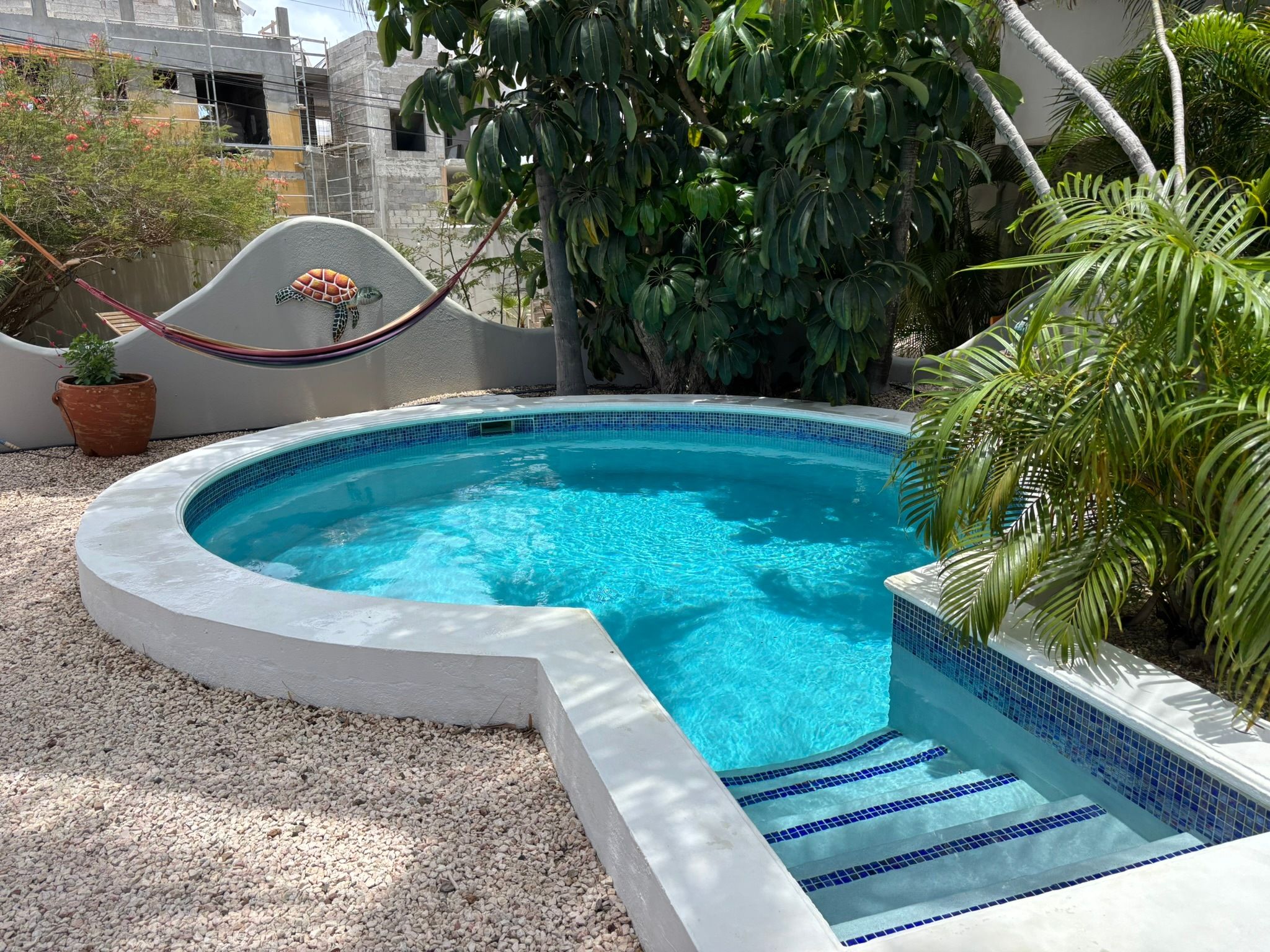 A swimming pool with a curved edge, surrounded by pebbles and plants.