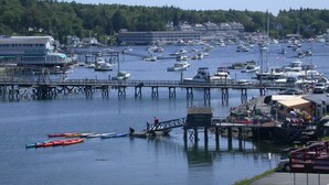 Un puerto deportivo con barcos amarrados, un muelle y un edificio con el letrero 'Rock Tide'.