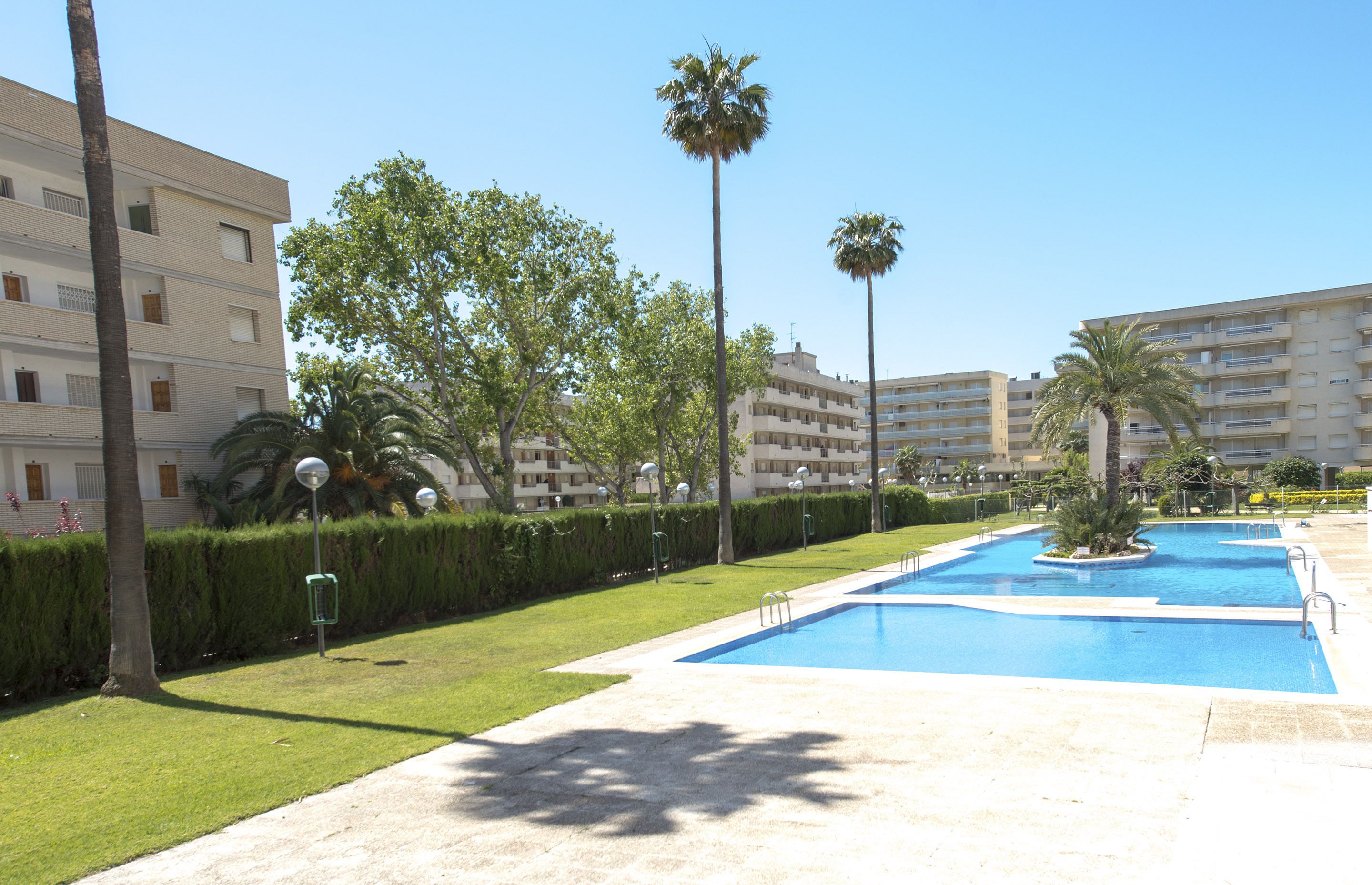 Zona de piscina con cielo despejado, palmeras y un edificio al fondo.
