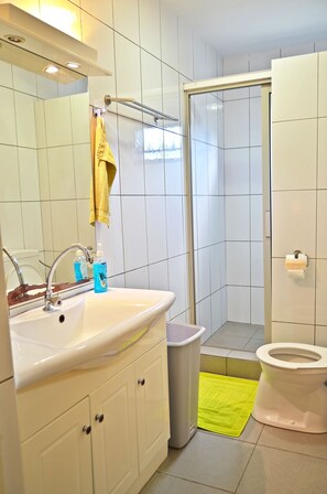 Shower, hair dryer, towels