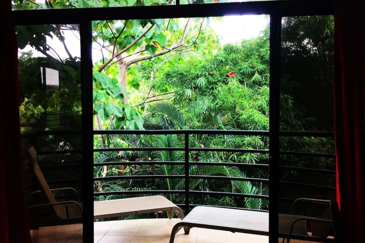 A room with a view of lush greenery through a window with a metal frame. There is a bench and a chair inside the room.