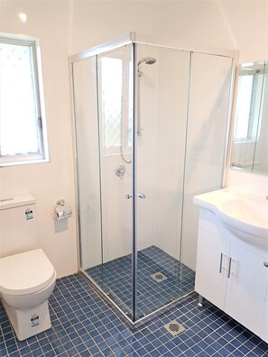 A glass-enclosed shower with a white sink and cabinet, a toilet, and a window.