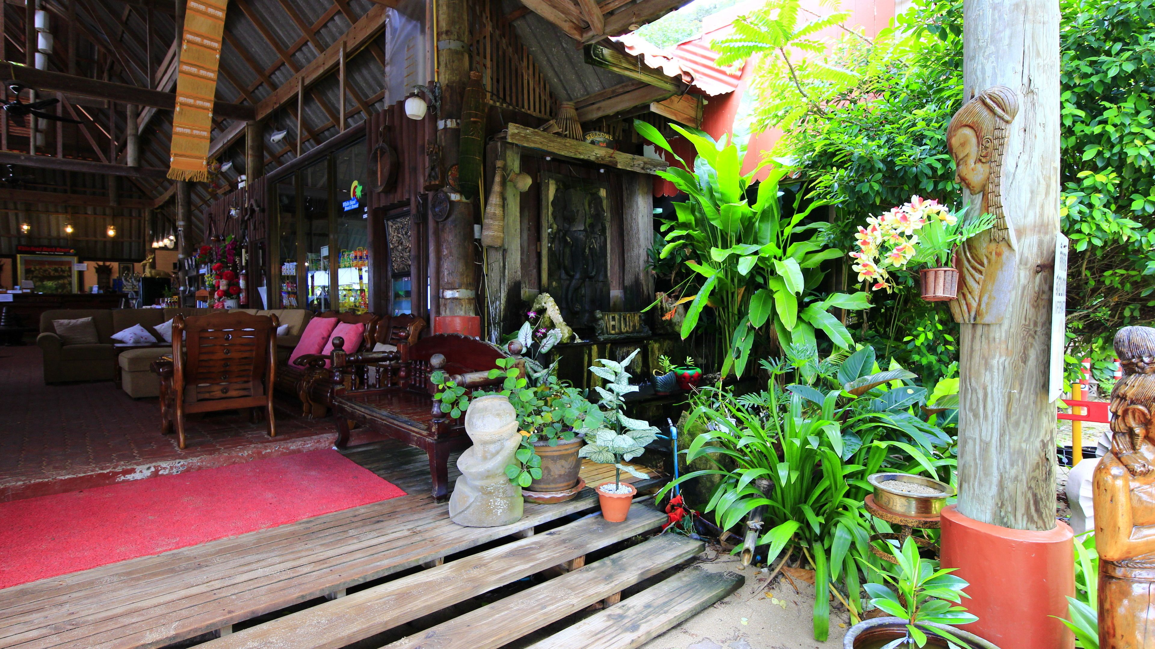 Un interior rústico de madera con alfombra roja, muebles de madera y varias plantas en macetas.