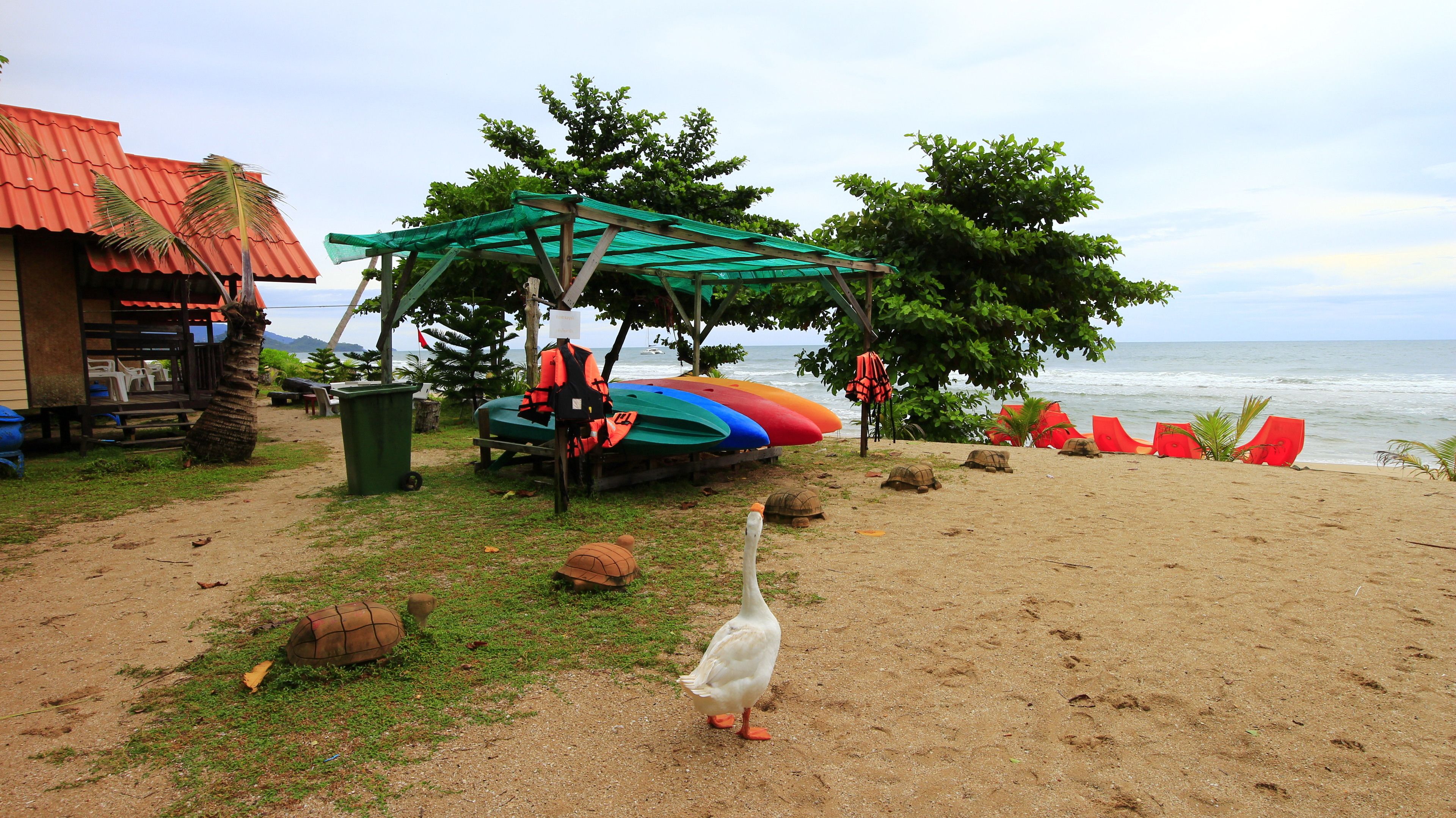 A beach with a wooden hut, a covered seating area, and a row of colorful kayaks.