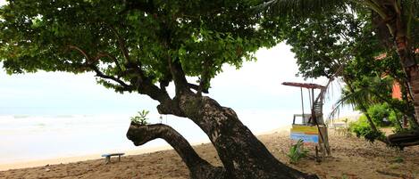 Escena de playa con un árbol grande, un banco y una torre de salvavidas.