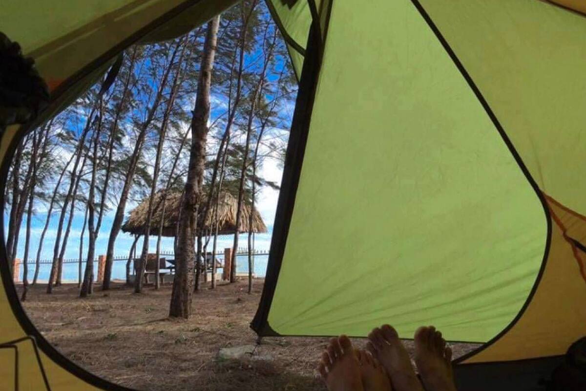 Basic Tent | Bed sheets