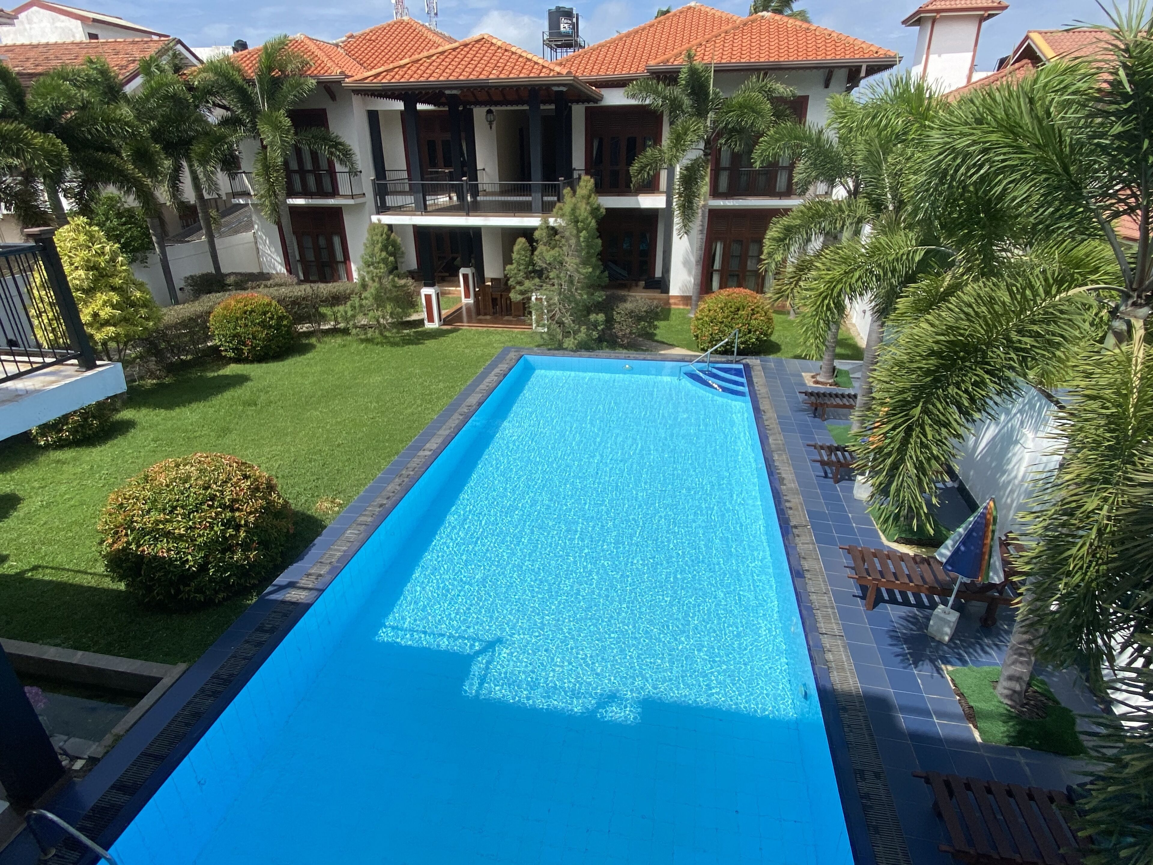 A rectangular swimming pool with a tiled border, surrounded by a well-maintained lawn and various shrubs.