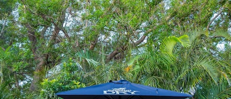 Large Family Room with Ensuite | Outdoor dining | Lunch and dinner served