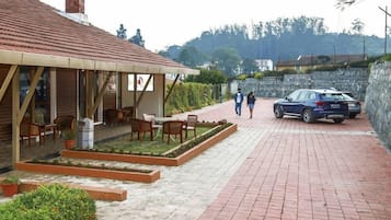 International cuisine