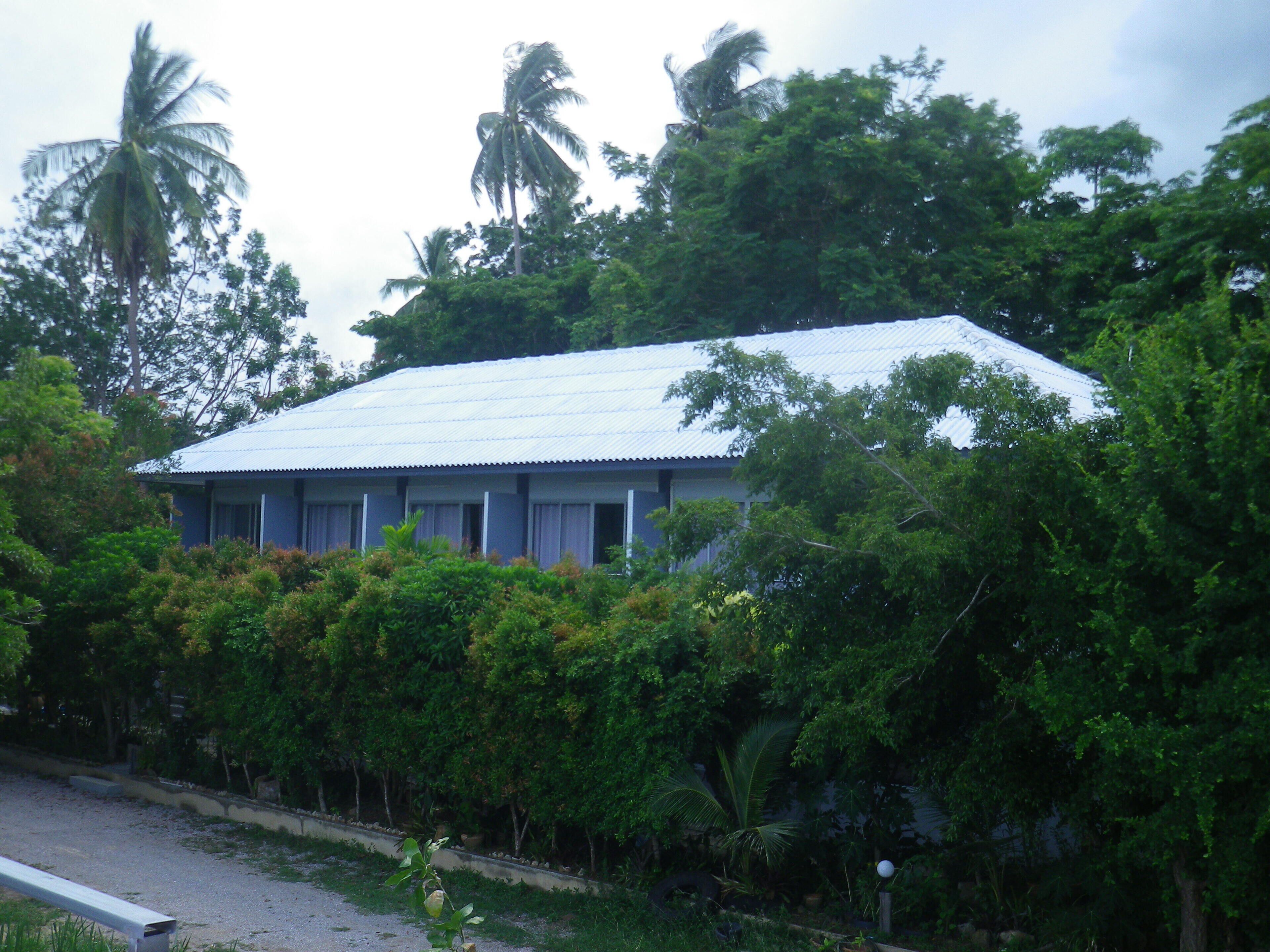 A building with a corrugated metal roof, surrounded by dense greenery and palm trees.