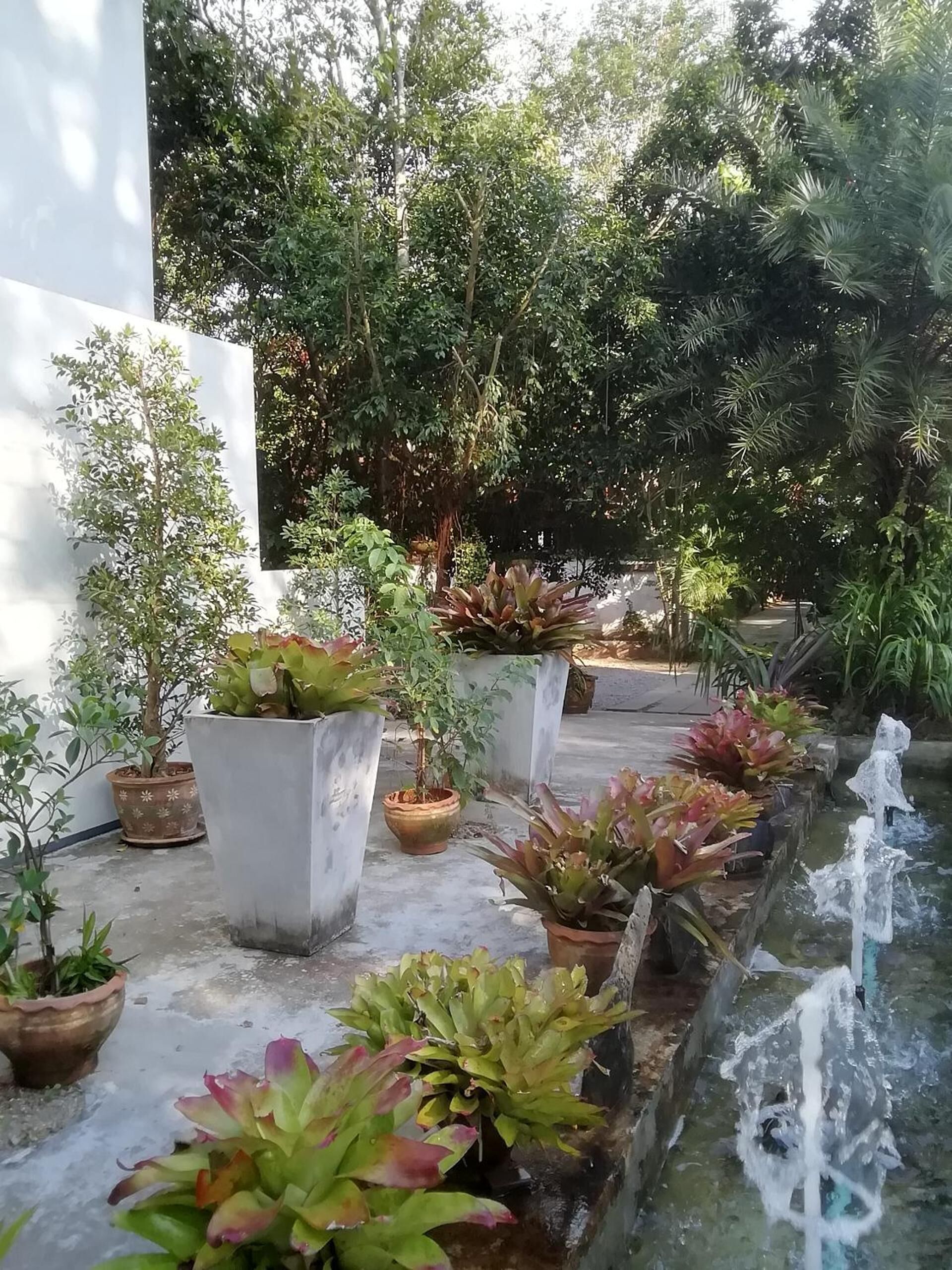A garden with various potted plants and a small water feature.