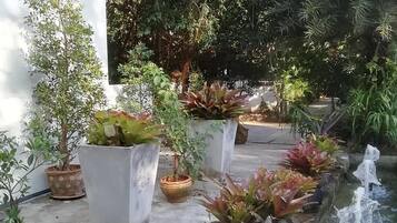 A garden with various potted plants and a small water feature.